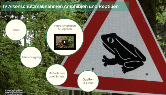 Artenschutz-Amphibien.png 